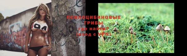 кристаллы Верея