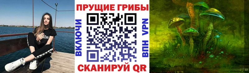 Галлюциногенные грибы Magic Shrooms  Цимлянск 